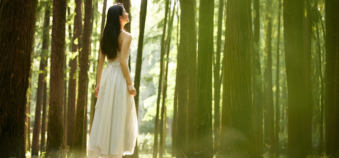 别再乱贴标签了！深度拆解 MBTI 里的 8 个神秘代码